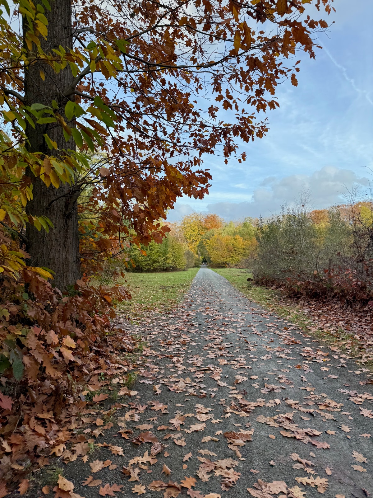 Belgian Gravel Experience: cycling in Heverlee, Belgium