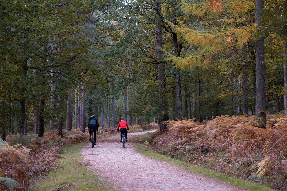 Gravel and Chats: the New Forest Escape: cycling in New Forest, United Kingdom
