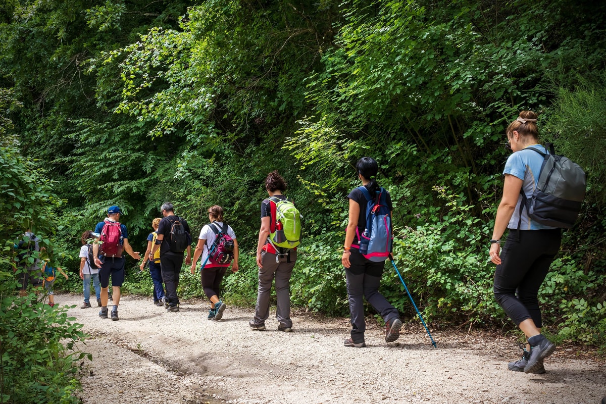 Gower Walking Festival